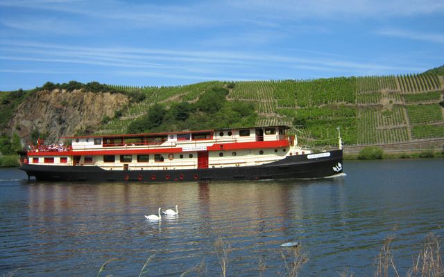 Mosel zwischen Trier und Benkastel-Kues