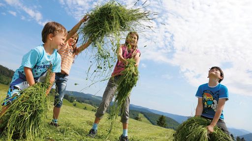 Verbringen Sie einen abwechslungsreichen Familienurlaub im Familotel Hochschwarzwald.