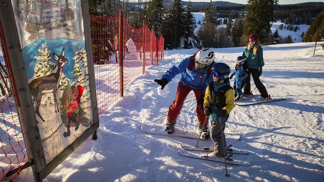 Ski-Asse & Schneehasen-Wochen 
