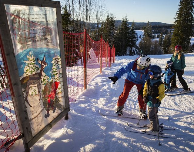 Angebot: Ski-Asse & Schneehasen-Wochen - Hotel Engel