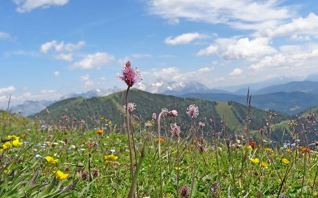 Wanderung mit der Familie in Kleinarl