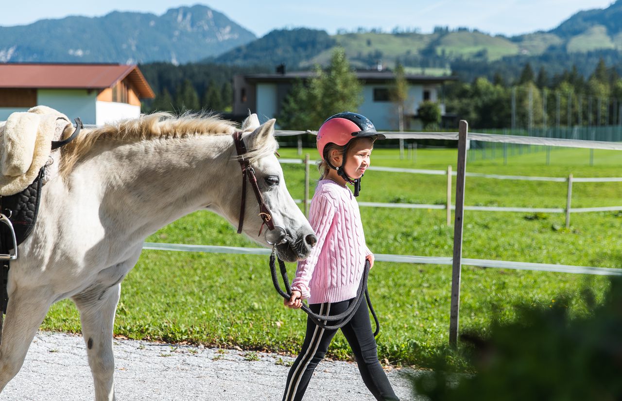 Reiterlebnis im Seehof