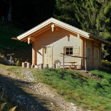 Sommer, Almhütte LISA, Hüttau, Salzburg, Salzburg, Österreich