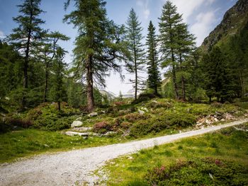 Landeckalm - Tirol - Österreich