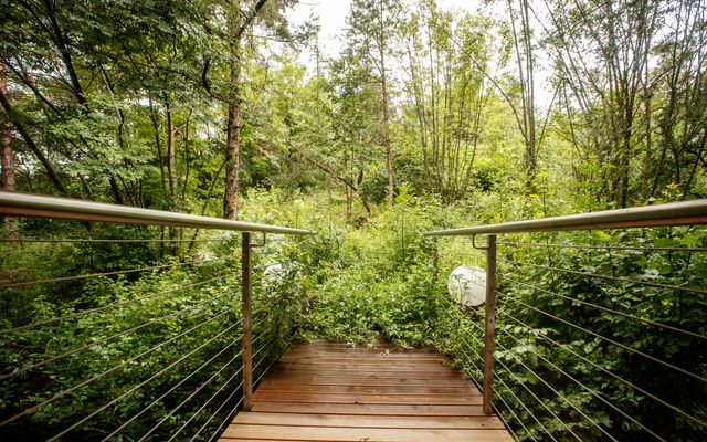 Bio- und Bikehotel Steineggerhof: Naturzeit mit Ruth - Retreat für deine innere Balance