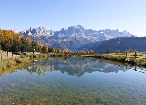 Bio- und Bikehotel Steineggerhof, Steinegg, Dolomiten, Trentino-Alto Adige, Italy (10/42)