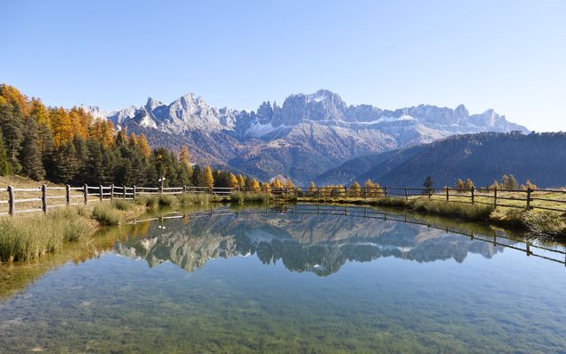 Biohotel Steineggerhof: Urlaub in Südtirol