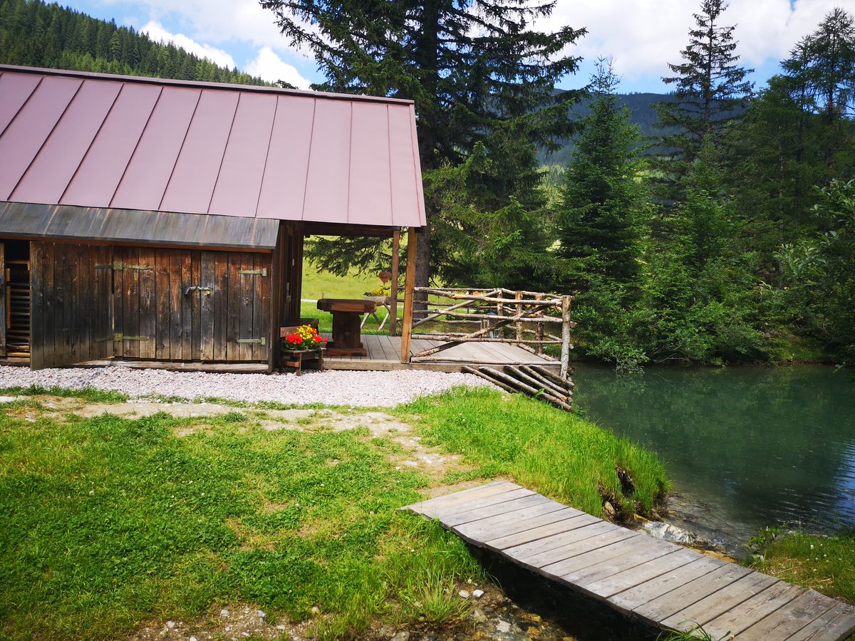 Hutte Almparadies In Forstau Mieten Almhutten Und Chalets In Den