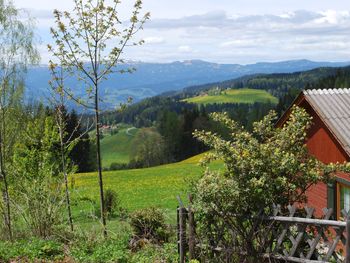 Langhans Hütte 1 - Carinthia  - Austria