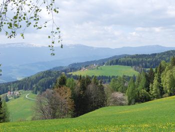 Langhans Hütte 2 - Carinthia  - Austria