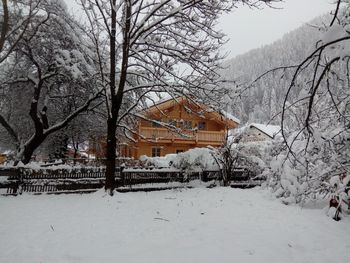 Schlosswirt Chalet I - Carinthia  - Austria