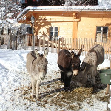 Winter, Schlosswirt Chalet III, Grosskirchheim, Kärnten, Carinthia , Austria