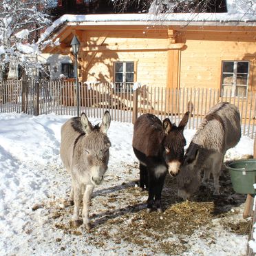 Winter, Schlosswirt Chalet III, Grosskirchheim, Kärnten, Kärnten, Österreich