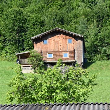 Sommer, Waldhütte, Kaltenbach im Zillertal, Tirol, Tirol, Österreich