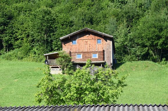 Sommer, Waldhütte, Kaltenbach im Zillertal, Tirol, Tirol, Österreich