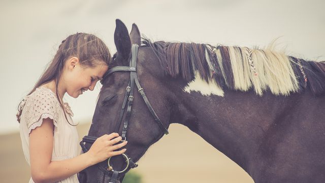 Pony & Reiterferien