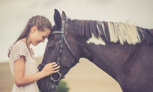 Pony & Reiterferien am Hof