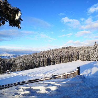 Winter, Almhaus Herzstück, Preitenegg, Lavanttal, Kärnten, Österreich