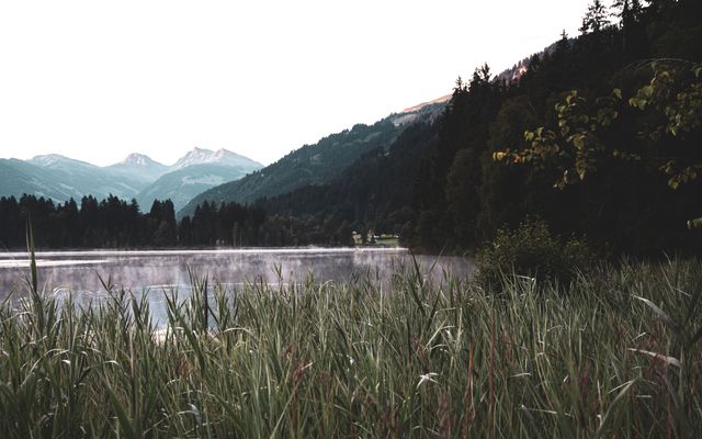 Bruggerhof – Camping, Restaurant, Hotel: 4 Nächte für 3 Hotel Sonntag Anreise Only