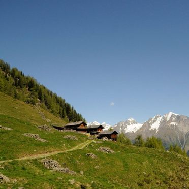 Sommer, Arnitzalm, Matrei in Osttirol, Tirol, Tirol, Österreich
