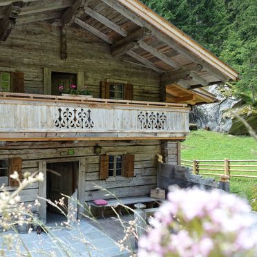 Sommer, Lacknerbrunn Alm, Mayrhofen, Tirol, Tirol, Österreich