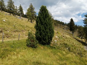 Amberger Hütte - Carinthia  - Austria