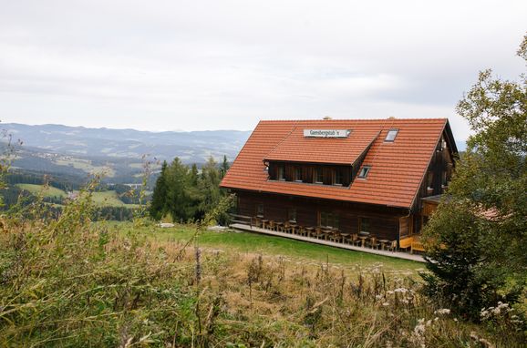 Sommer, Gamsberg Hütte, Pack, Steiermark, Österreich