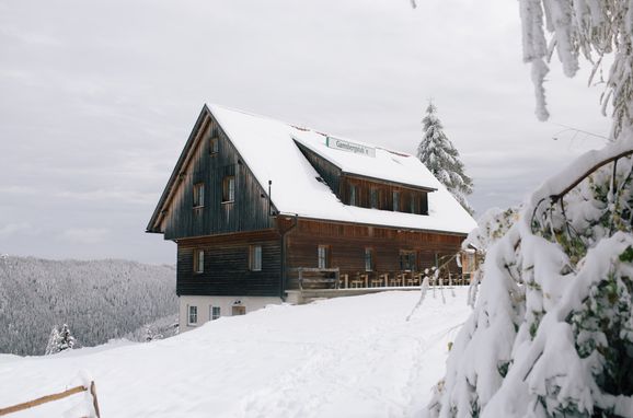 Winter, Gamsberg Hütte, Pack, Styria , Austria