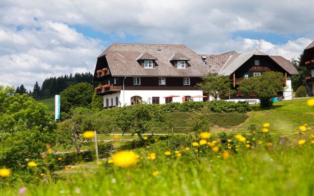 Familotel Steiermark Der Ponyhof – Familienhotel und Reiterparadies: Familienzeit am Ponyhof