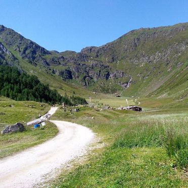 Sommer - Zufahrt Forststraße, Oberpranterhütte, Meransen, Trentino-Südtirol, Italien