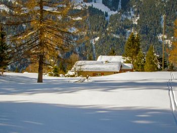 Chalet Zwärgli - Bern - Schweiz