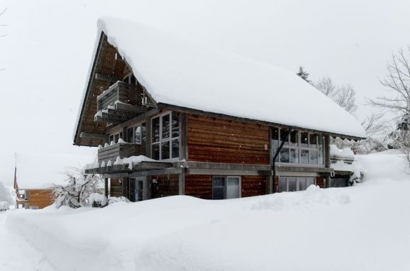 Outside Winter 24 - Main Image, Chalet Christine in Oberbayern, Siegsdorf, Oberbayern, Bavaria, Germany