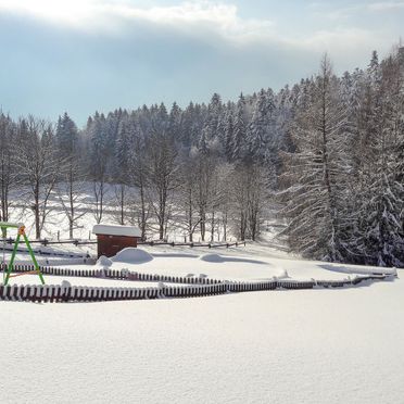 Außen Winter 26, Chalet Mühlberg im Bayerischen Wald, Spiegelau, Bayerischer Wald, Bayern, Deutschland