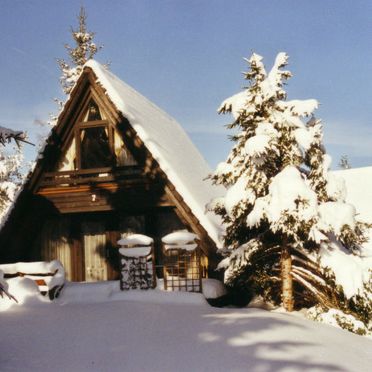 Außen Winter 15, Ferienhütte Tennenbronn im Schwarzwald, Tennenbronn, Schwarzwald, Baden-Württemberg, Deutschland