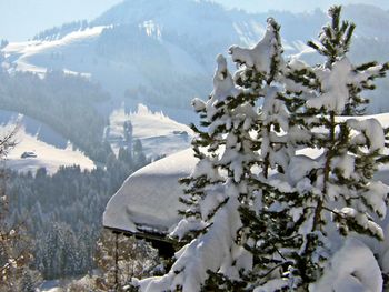 Chalet Le Chamois - Freiburg - Schweiz