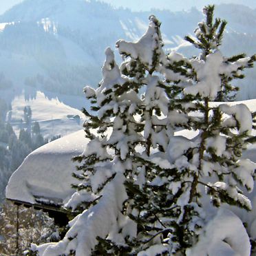 Outside Winter 20, Chalet Le Chamois, Moléson-sur-Gruyères, Freiburg, Fribourg, Switzerland