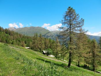 Rustico Pra Viei - Piedmont - Italy