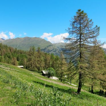 Außen Sommer 4, Rustico Pra Viei, Sampeyre, Piemont, Piemont, Italien