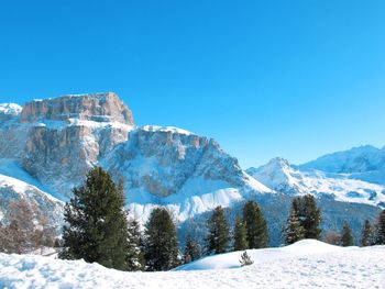 Chalet Cesa Galaldriel - Trentino-Alto Adige - Italy