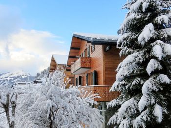 Chalet fer à Cheval - Auvergne-Rhône-Alpes - France