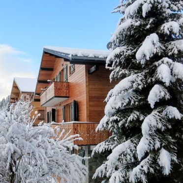 Außen Winter 30, Chalet fer à Cheval, Châtel, Savoyen - Hochsavoyen, Auvergne-Rhône-Alpes, Frankreich