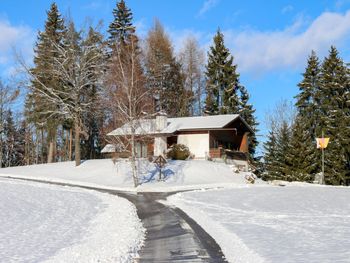 Hütte Rustika am Wörthersee - Carinthia  - Austria