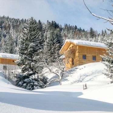 Außen Winter 21, Chalet Gams, Annaberg - Lungötz, Salzburger Land, Salzburg, Österreich