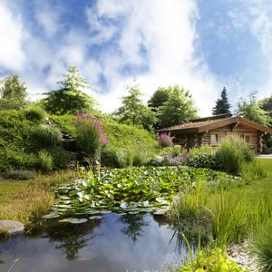 Impressions #9 - See Park Janssen