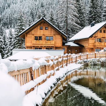 Winter, Bergseegut Chalets, Wagrain, Salzburg, Austria