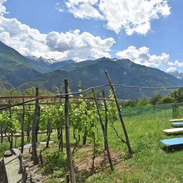 Outside Summer 5, Rustico Rebustella, Valtellina, Lombardei, Lombardy, Italy